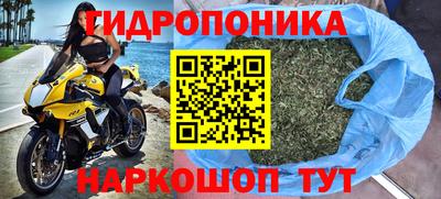 прущие грибы Старая Купавна