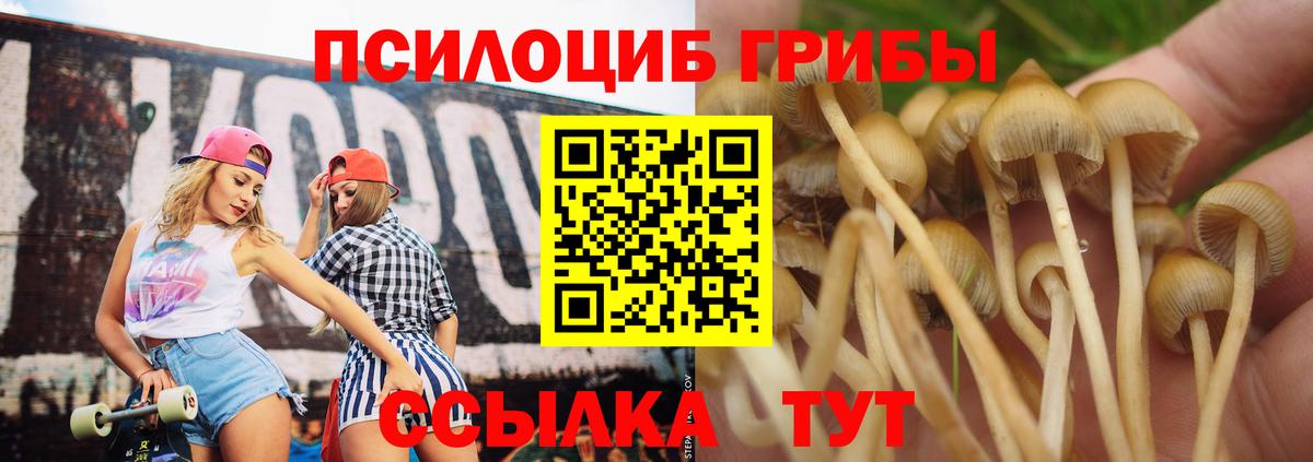 Галлюциногенные грибы прущие грибы  дарнет шоп  Псилоцибиновые грибы ЛСД  Ступино 